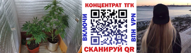 Купить закладки  Ужур  Дистиллят ТГК концентрат 