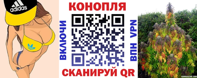 Конопля White Widow  Купить закладки  Ужур 